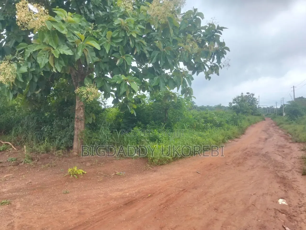 200 Acres of Land