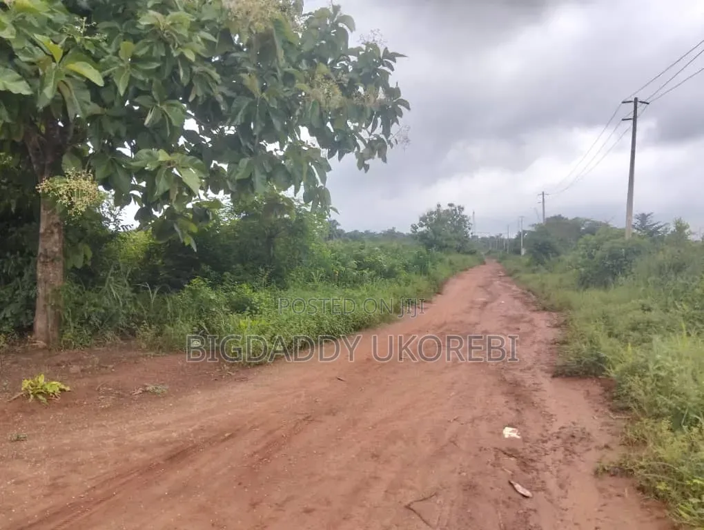 200 Acres of Land