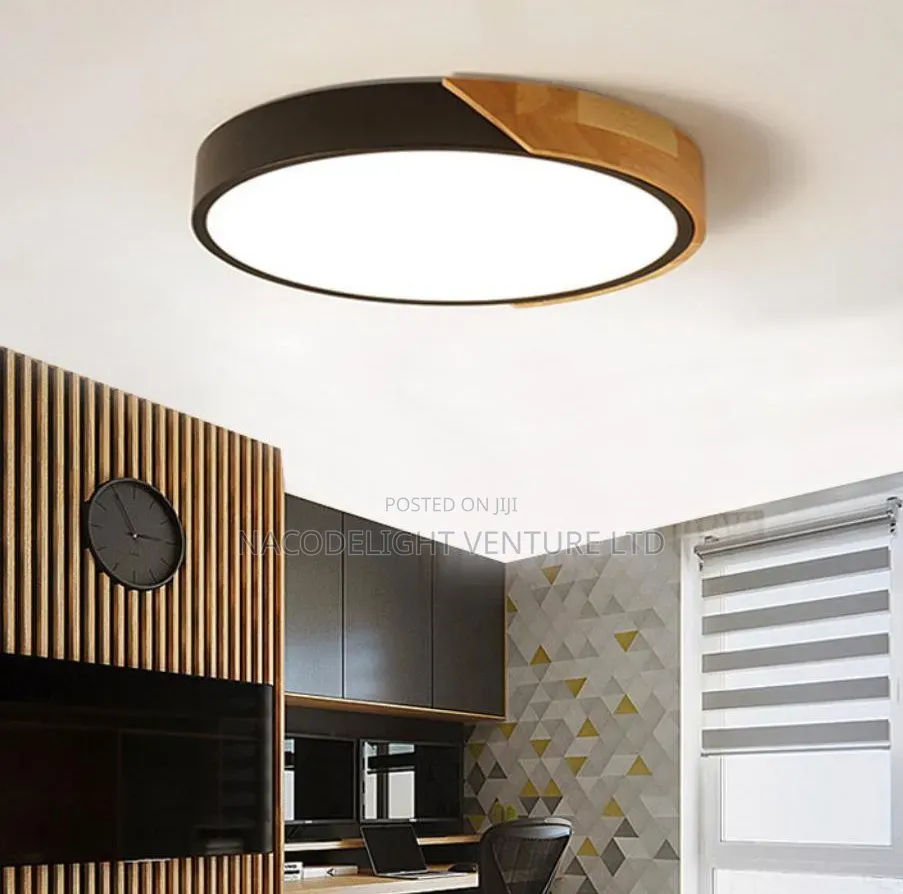 LED Modern Indoor Ceiling Lighting White Warm Color