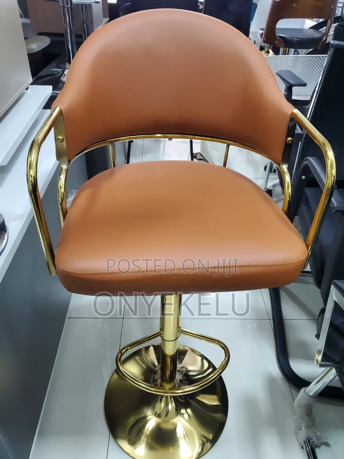 Salon Swivel Chair