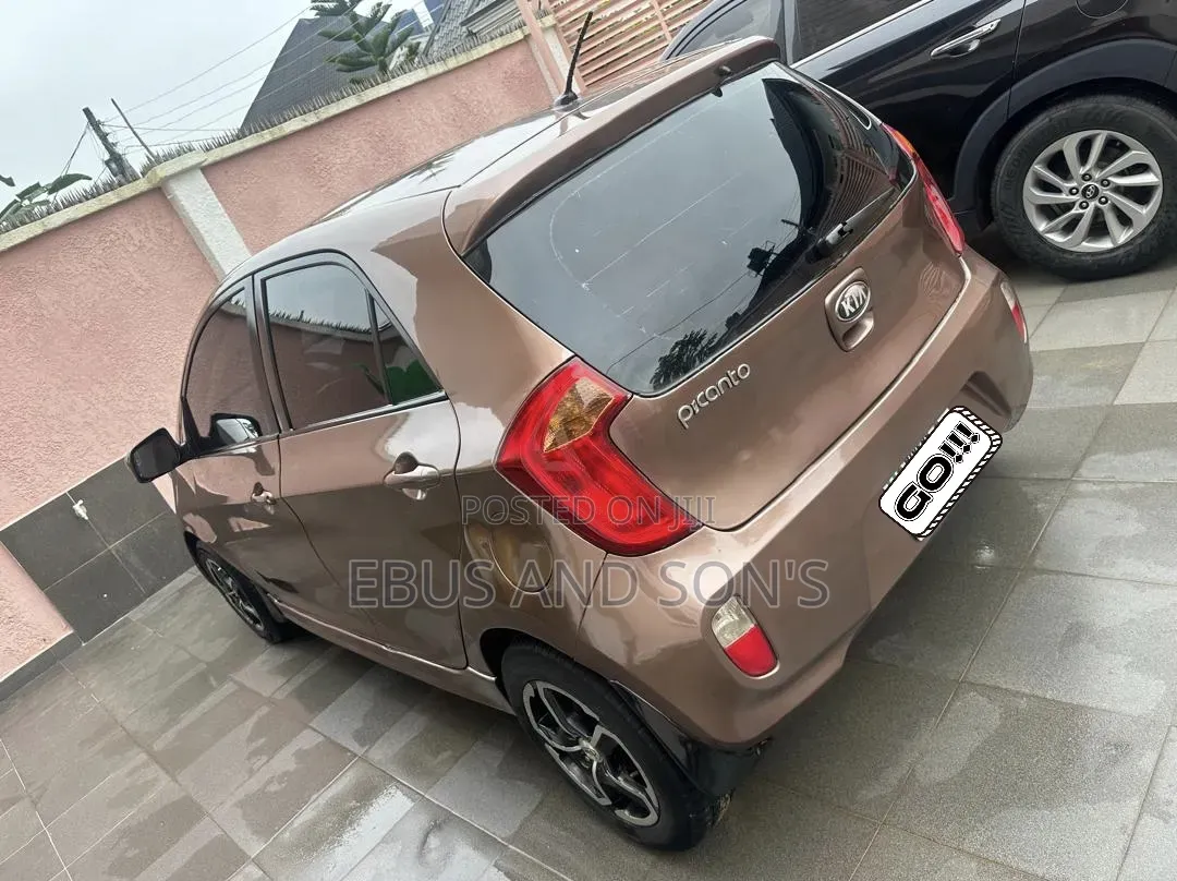 Kia Picanto 2014 Brown