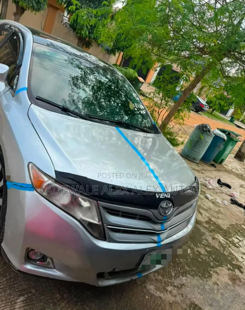 Toyota Venza 2010 Silver