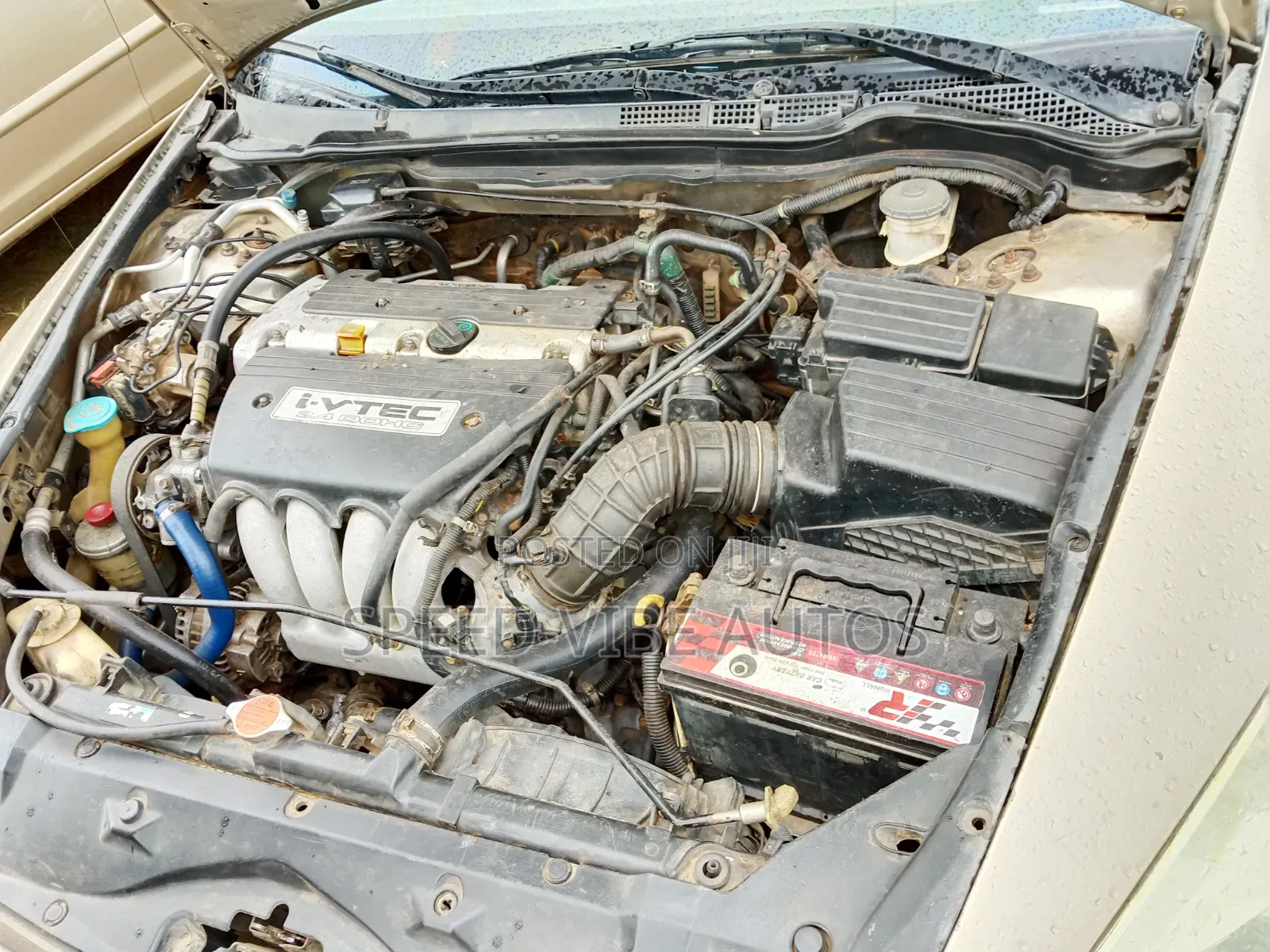 Honda Accord 2004 Gold