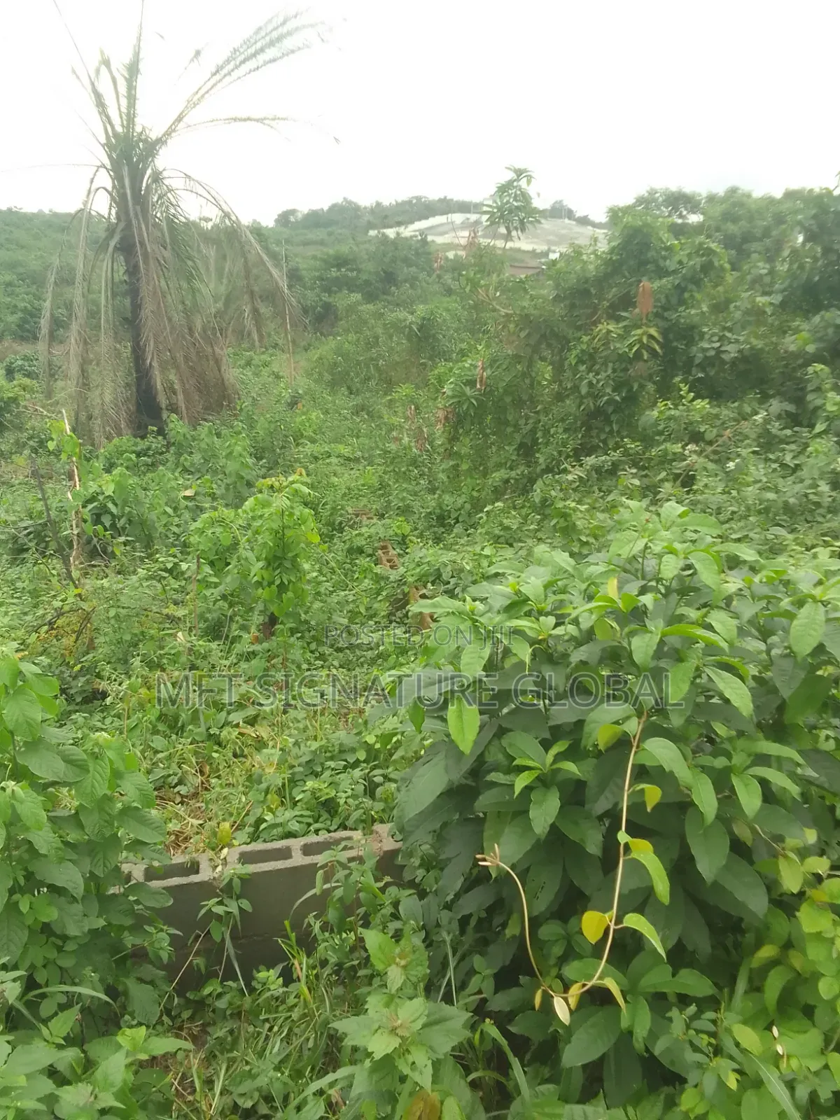 6 Plot of Land