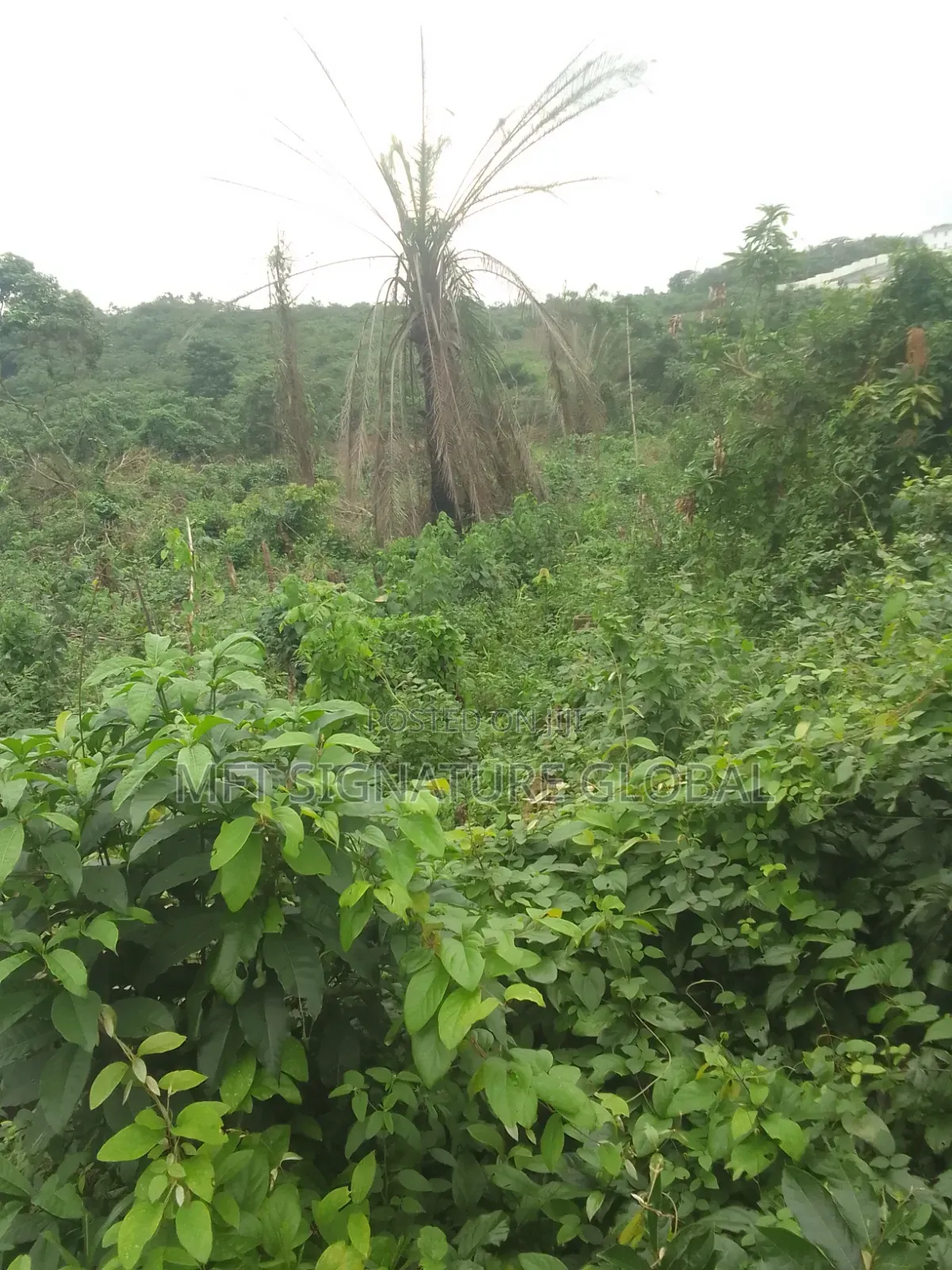 6 Plot of Land