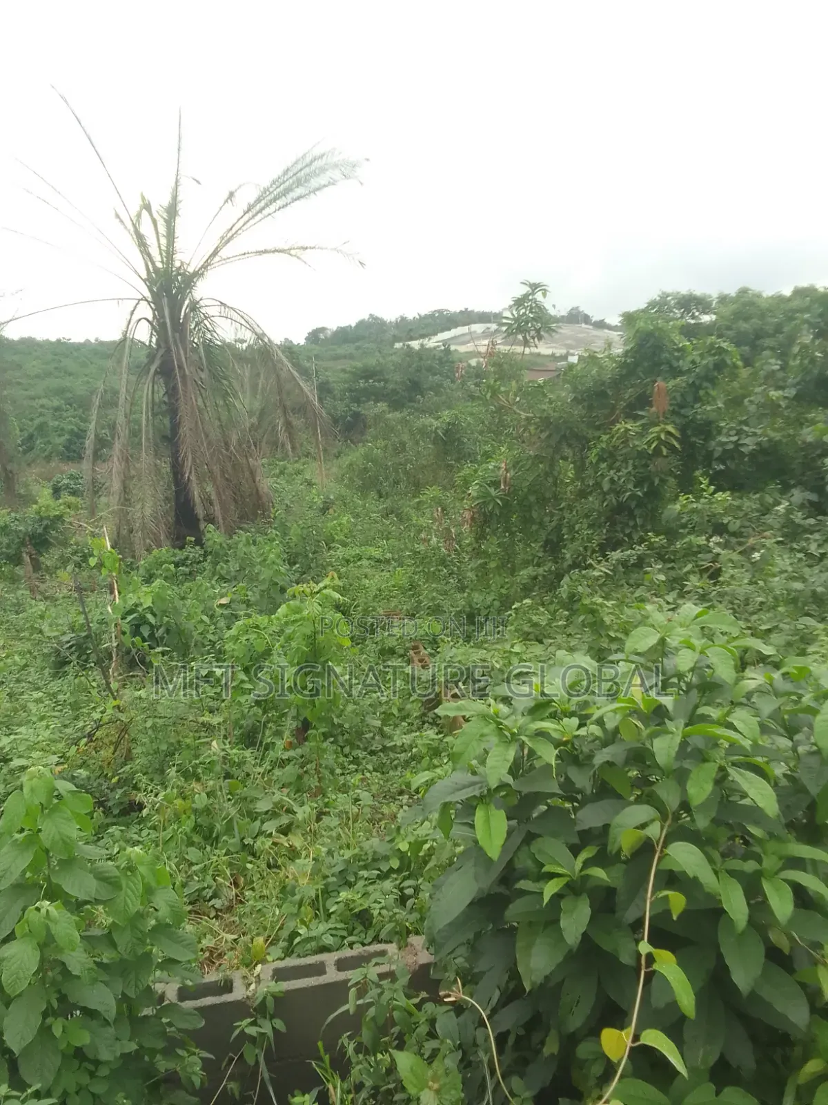6 Plot of Land
