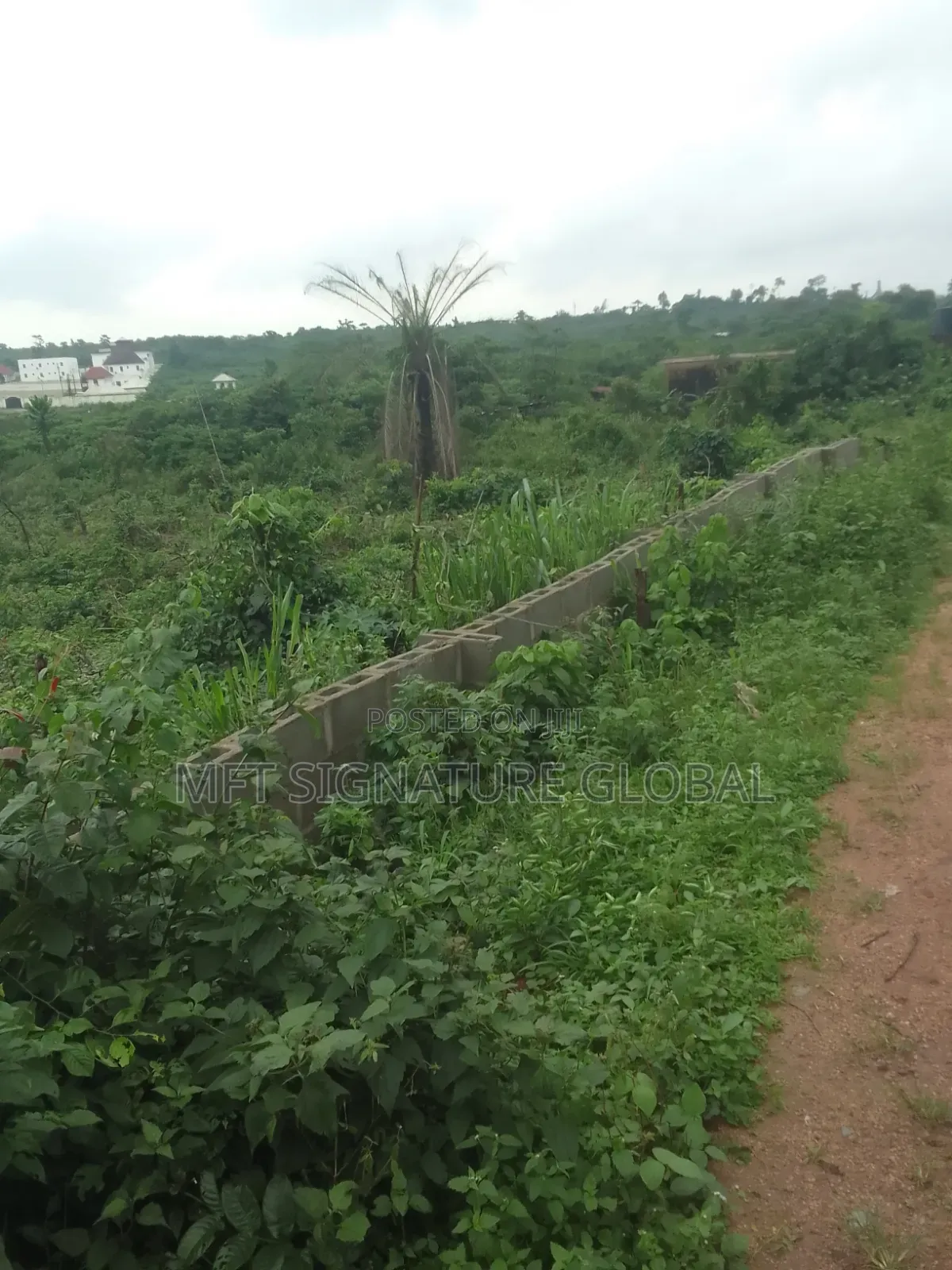 6 Plot of Land