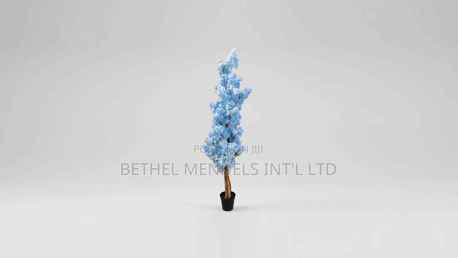 Cherry Blossom Tree - 165cm