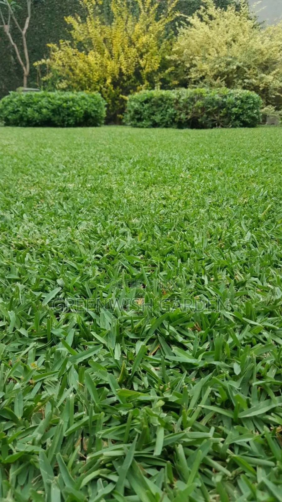 Garden and Landscaping