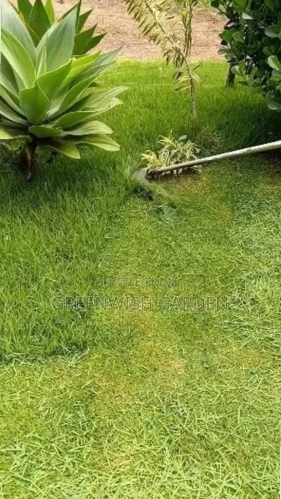 Garden and Landscaping