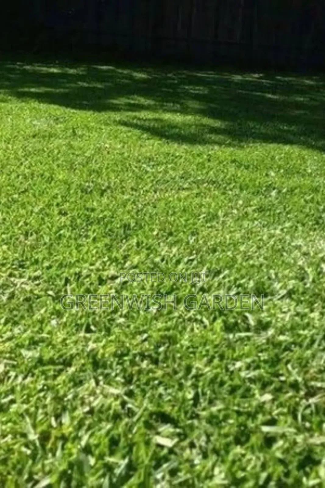 Garden and Landscaping