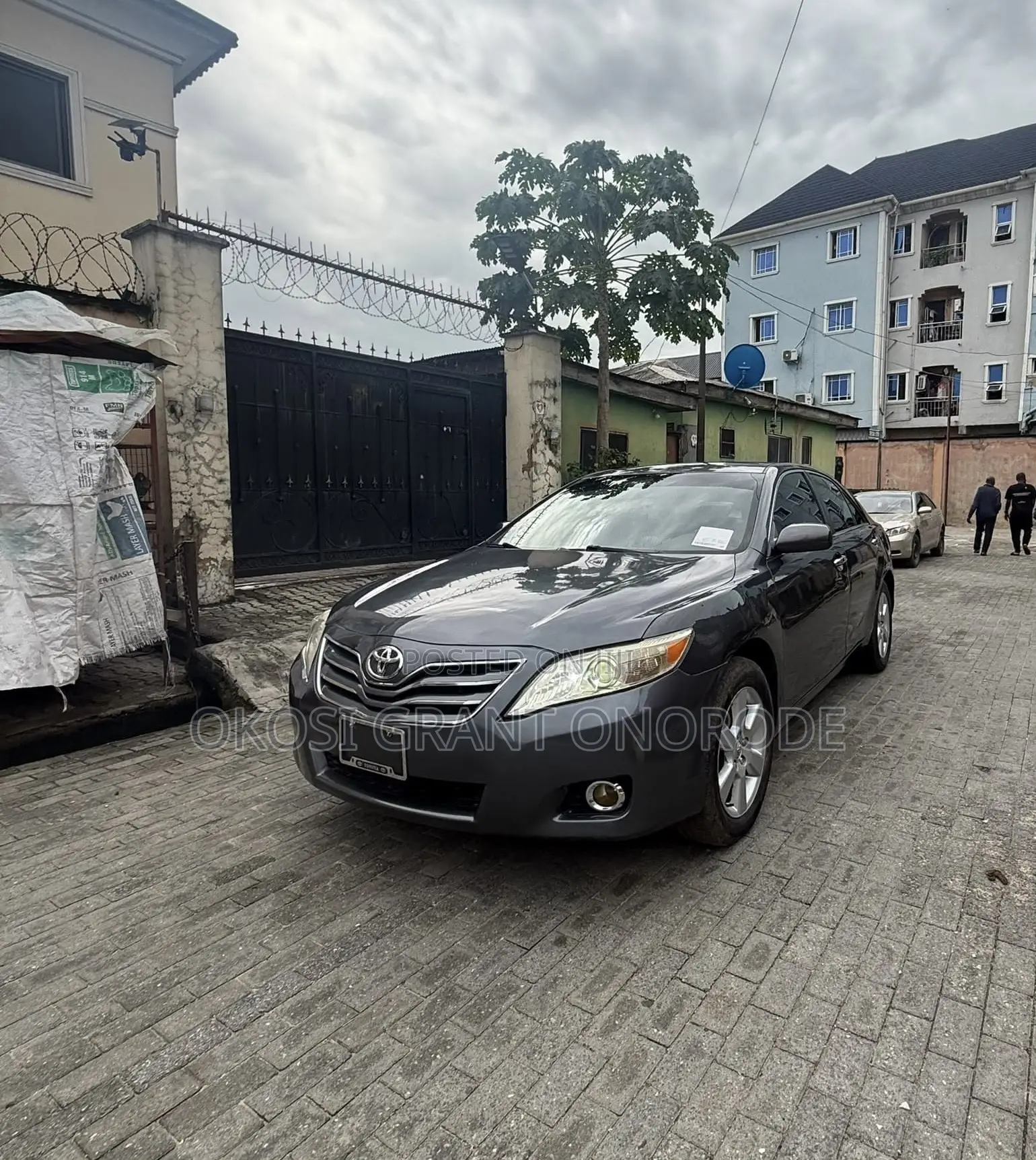 Toyota Camry LE 4dr Sedan (2.4L 4cyl 5A) 2009 Gray