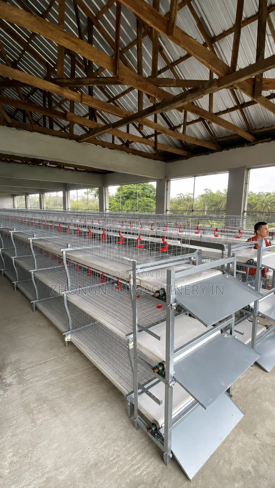 Broiler Cage With Manure Belt Remover