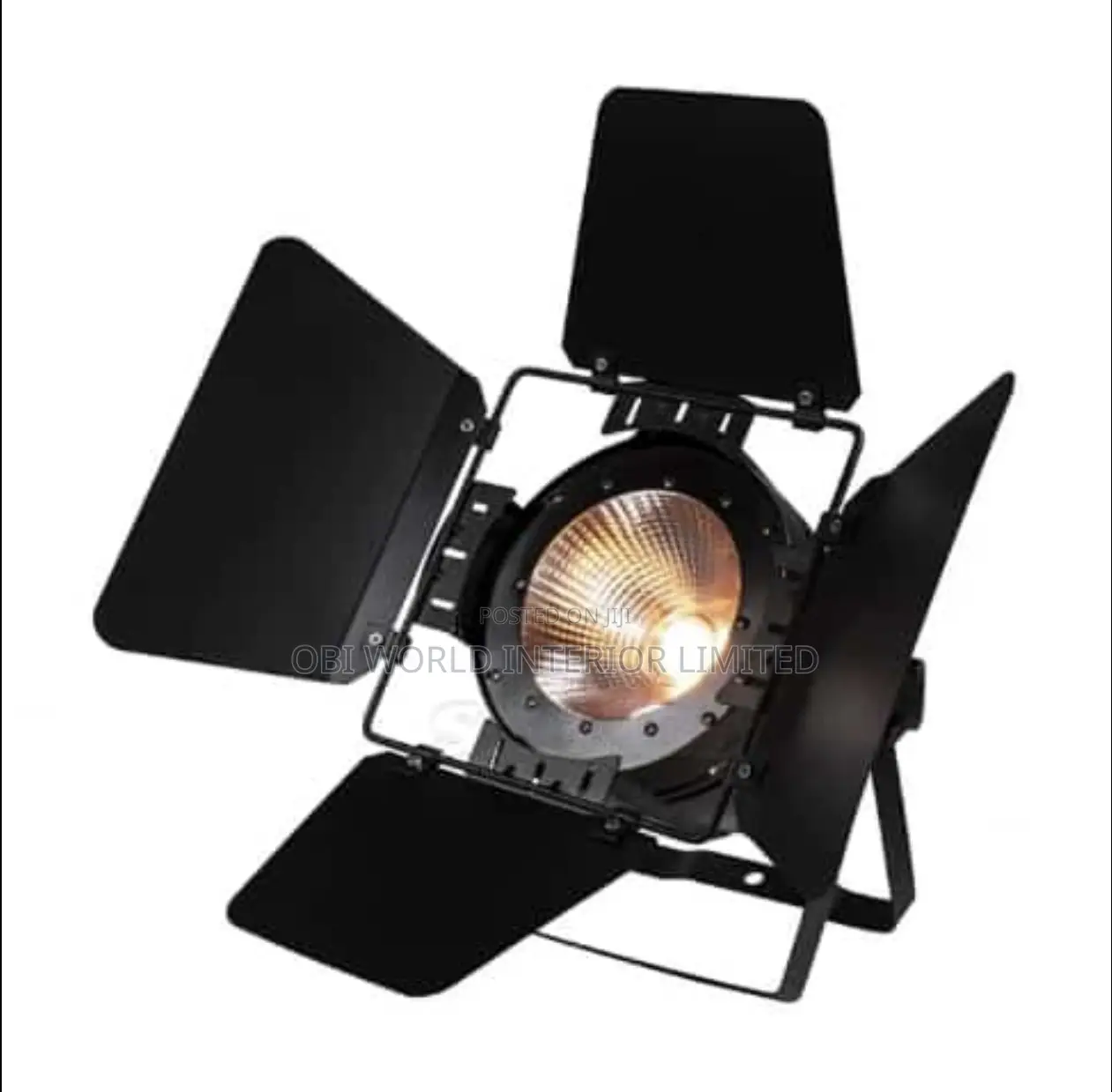 100w COB Parckan Light