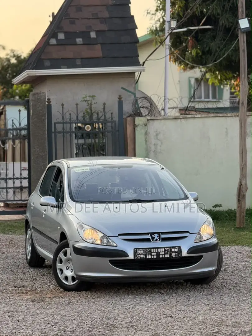 Peugeot 307 2008 Silver