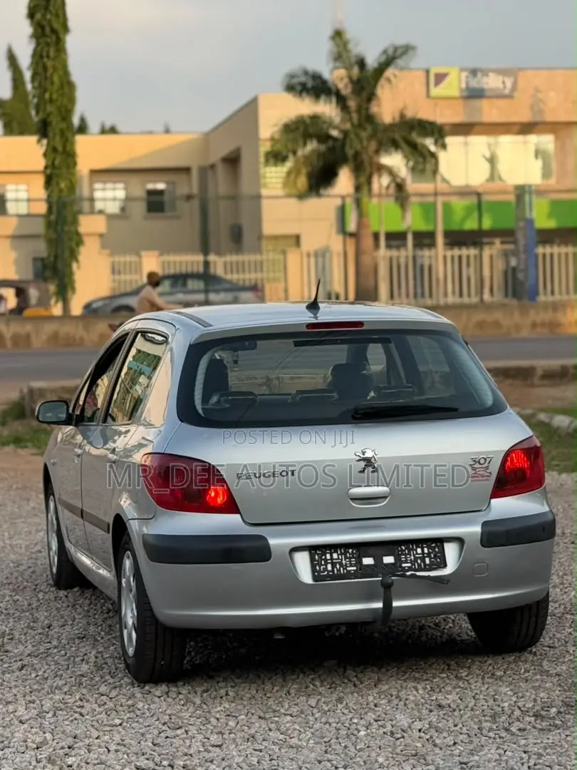 Peugeot 307 2008 Silver