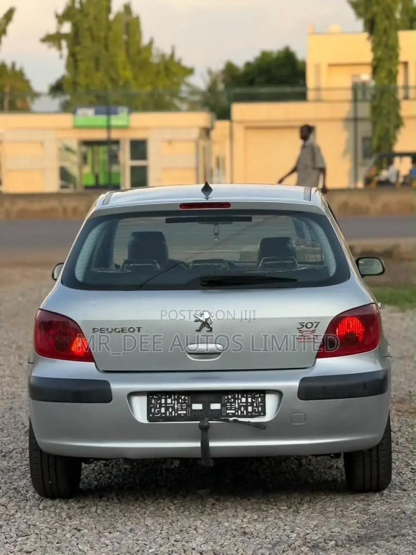 Peugeot 307 2008 Silver