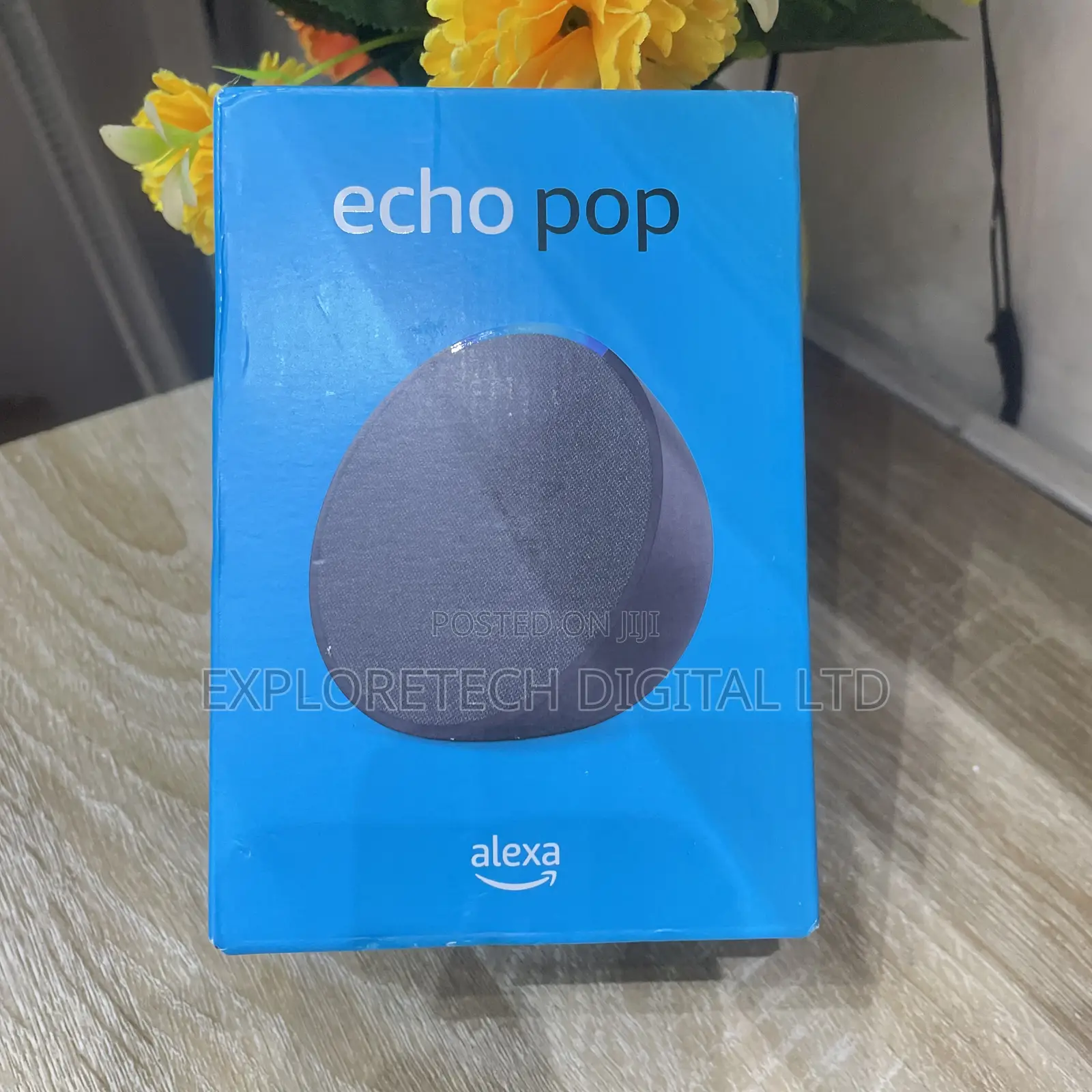 Alexa Echo Pop