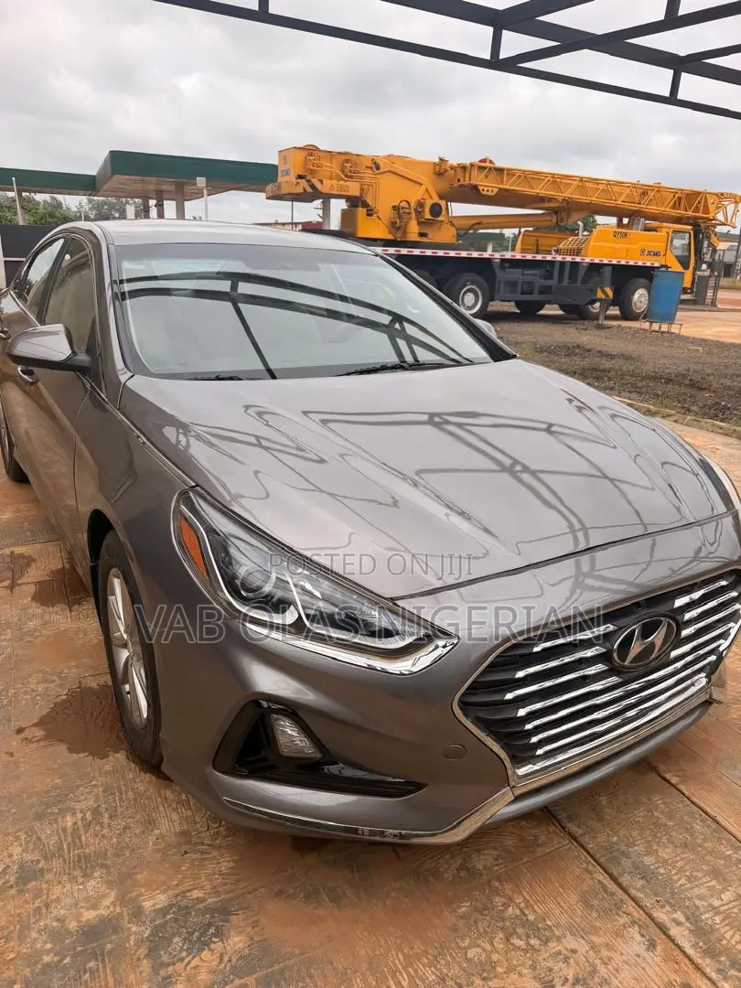 Hyundai Sonata ECO 2018 Brown