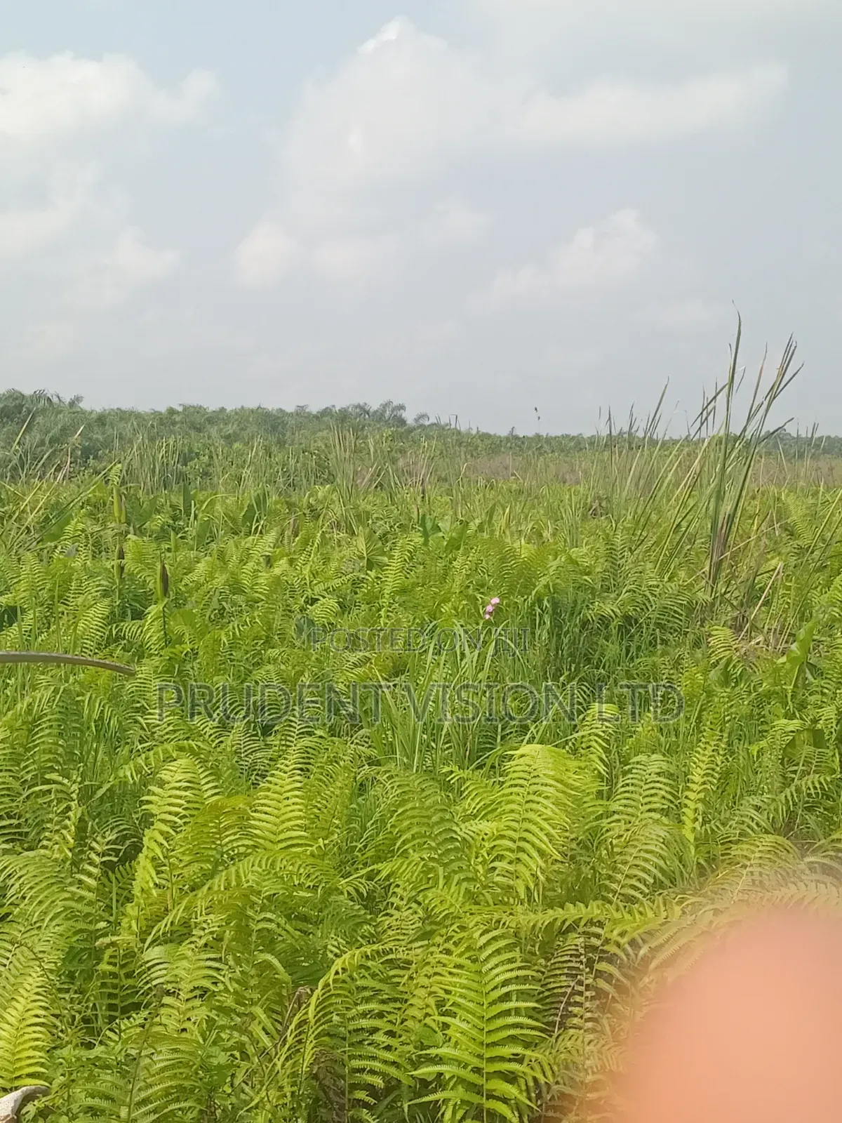 Commercial LagoonFront Property