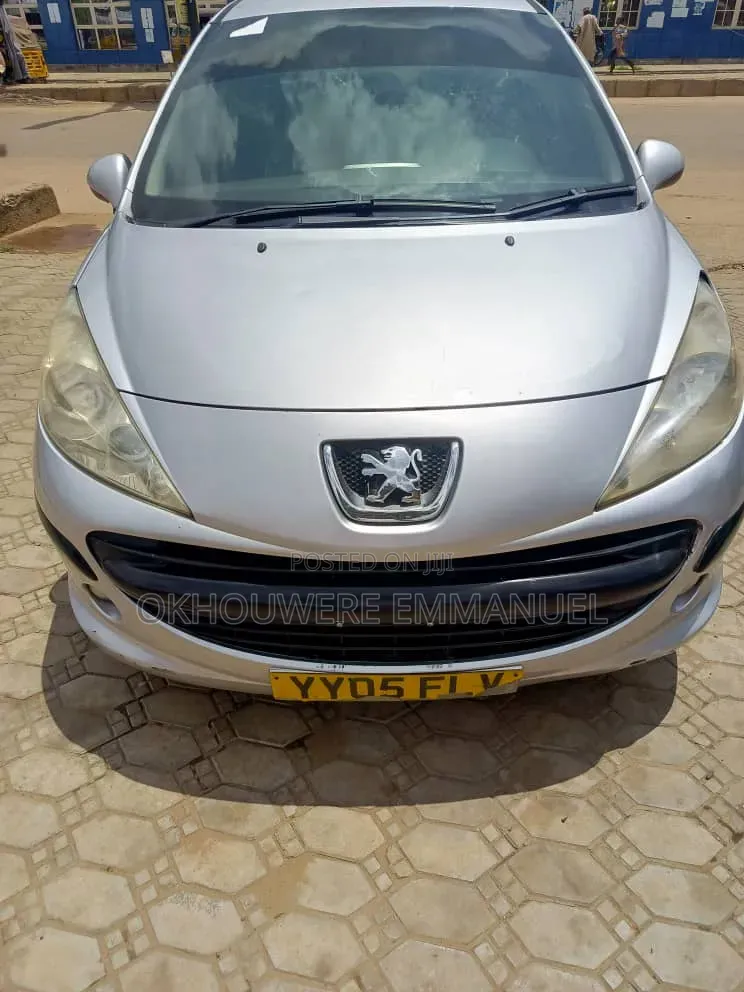 Peugeot 207 2005 Silver