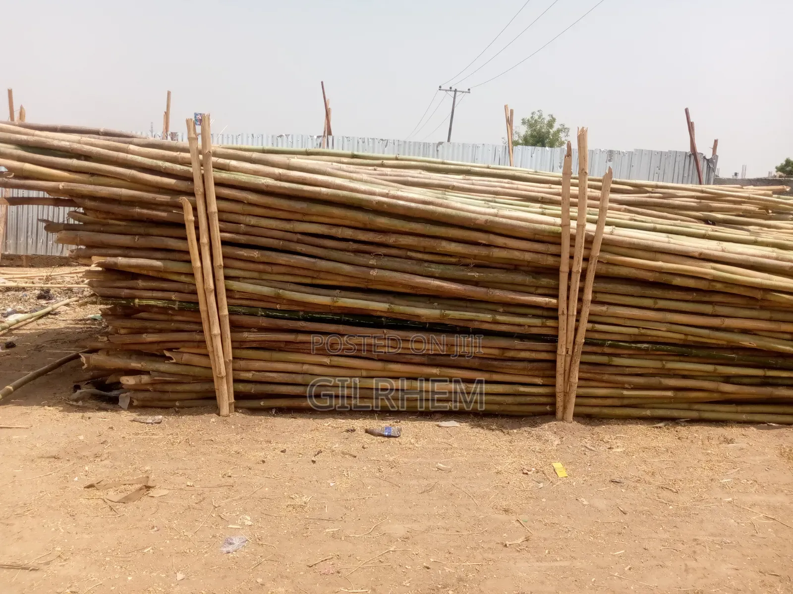 Strong Bamboo