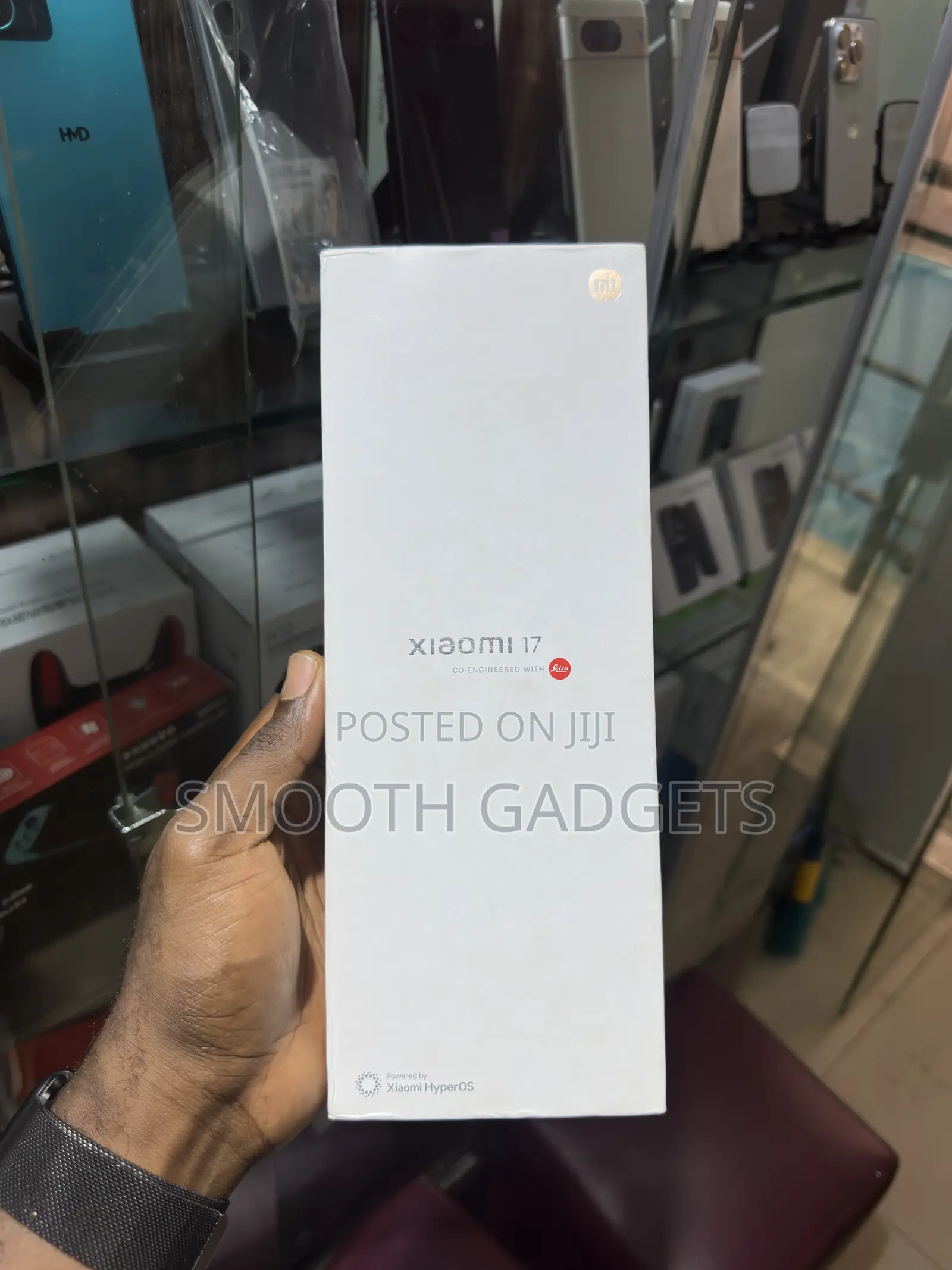 Xiaomi 17 256 GB Gray