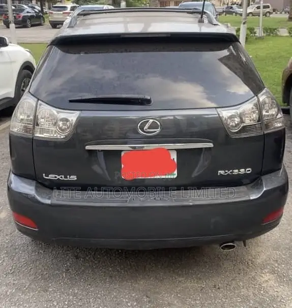 Lexus RX 330 2004 Gray
