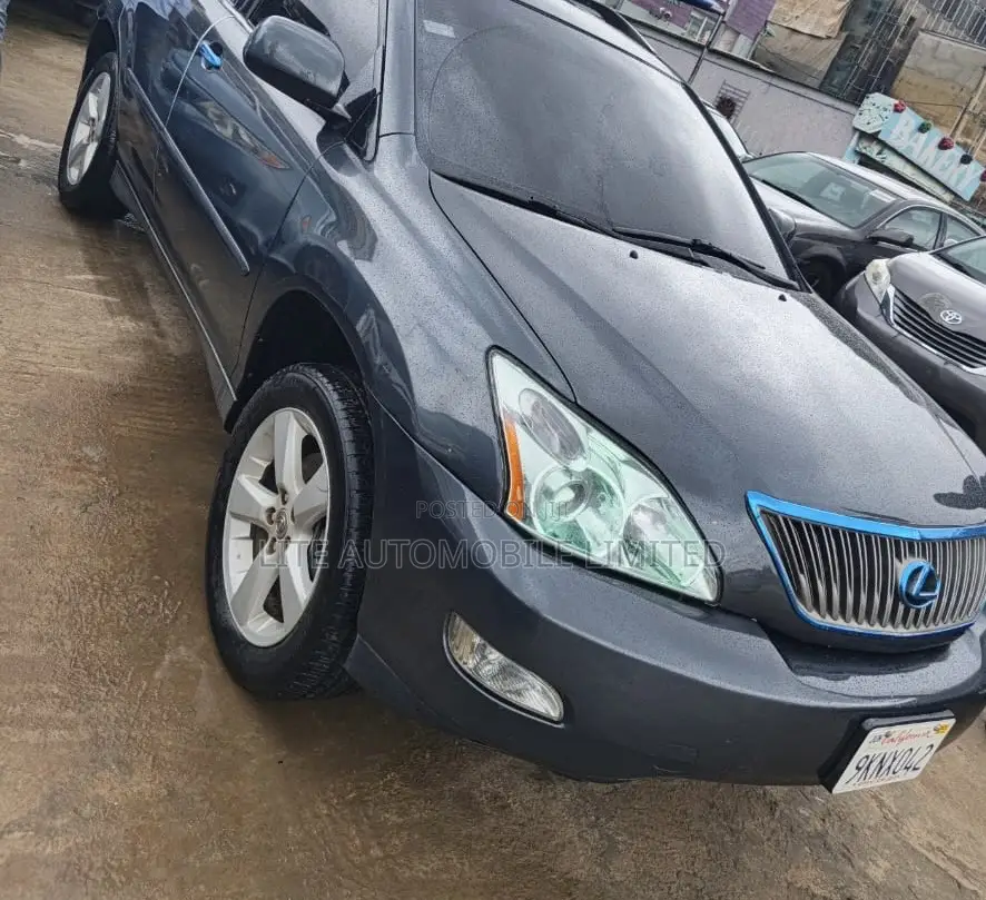 Lexus RX 330 2004 Gray