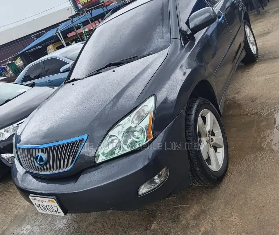 Lexus RX 330 2004 Gray