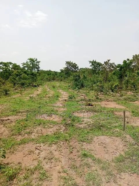 Tpumpy Premium Lands in Ekiti and Ilorin