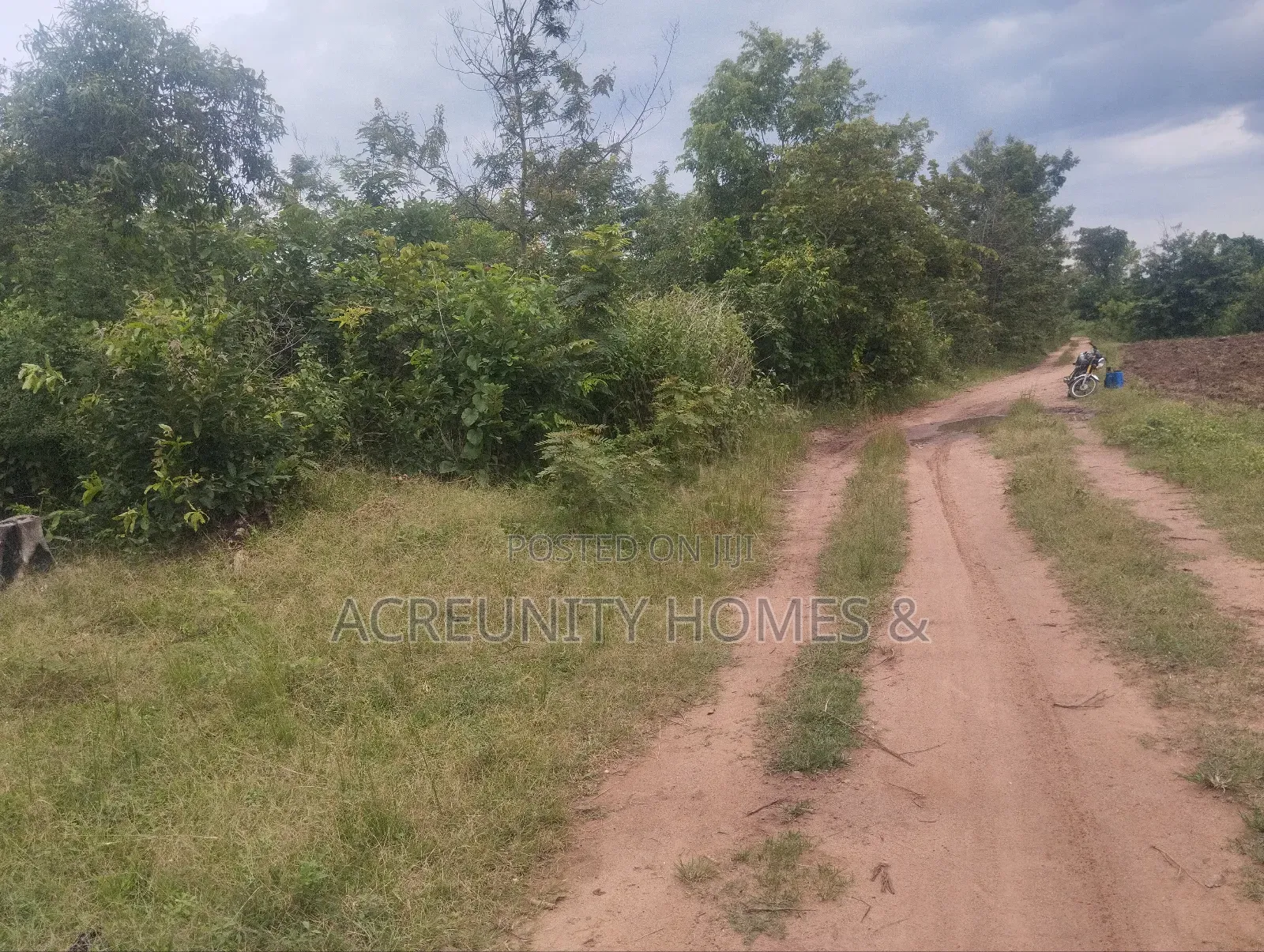 450 Acres of Fertile Farmland for Sale – Ogungbe, Iseyin, Oyo State
