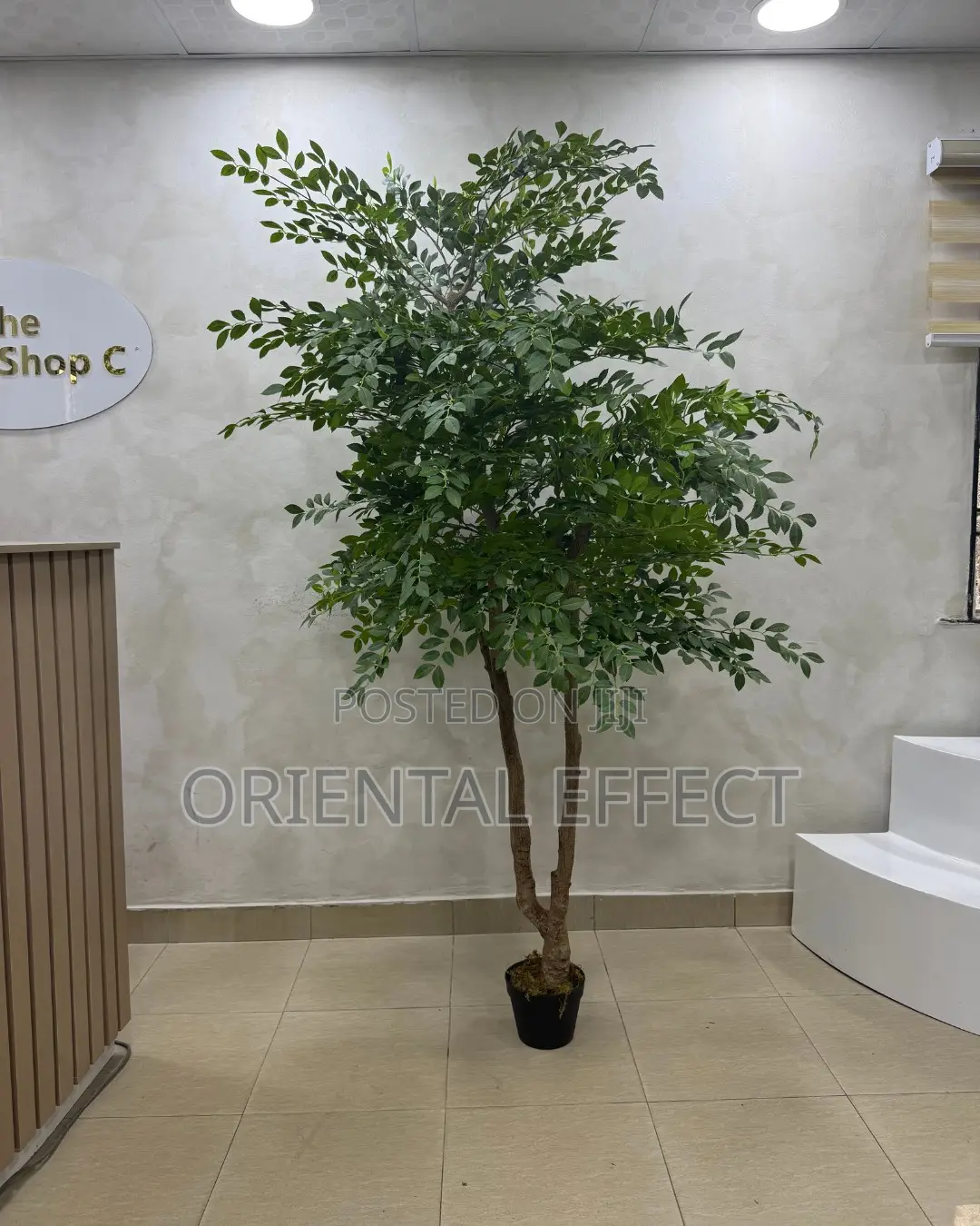 Artificial Elm Seed Tree 200cm | Artificial Plant Nigeria