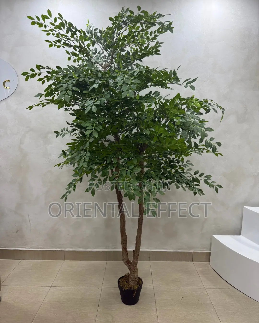 Artificial Elm Seed Tree 200cm | Artificial Plant Nigeria