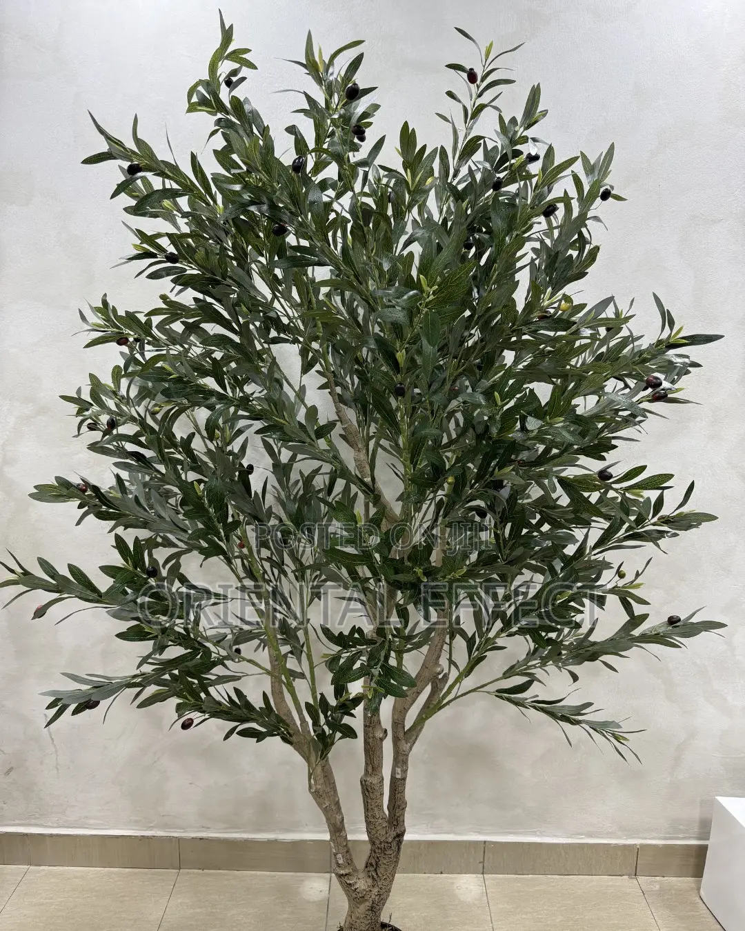 Artificial Forest Olive Tree 200cm | Olive Tree for Interiors