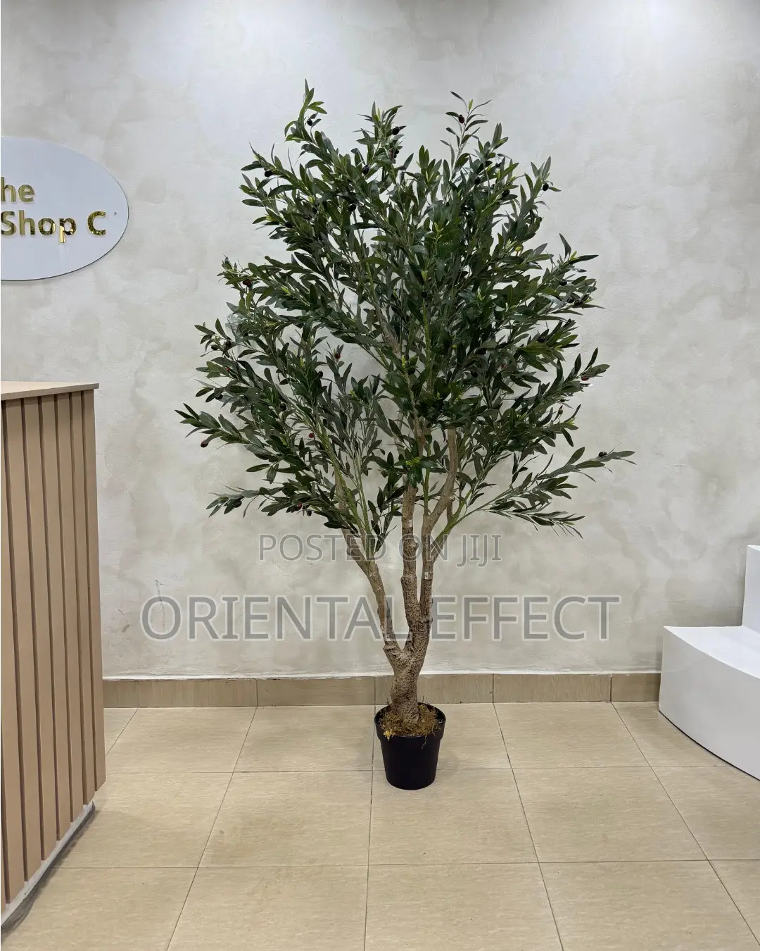Artificial Forest Olive Tree 200cm | Olive Tree for Interiors