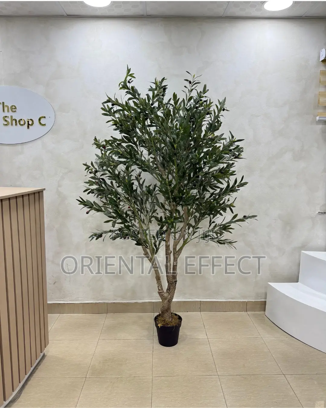 Artificial Forest Olive Tree 200cm | Olive Tree for Interiors