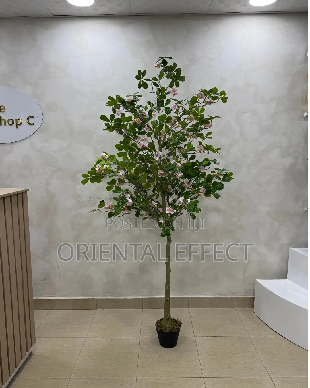 Artificial Pink Exotica Tree 185cm | Artificial Plant Nigeria