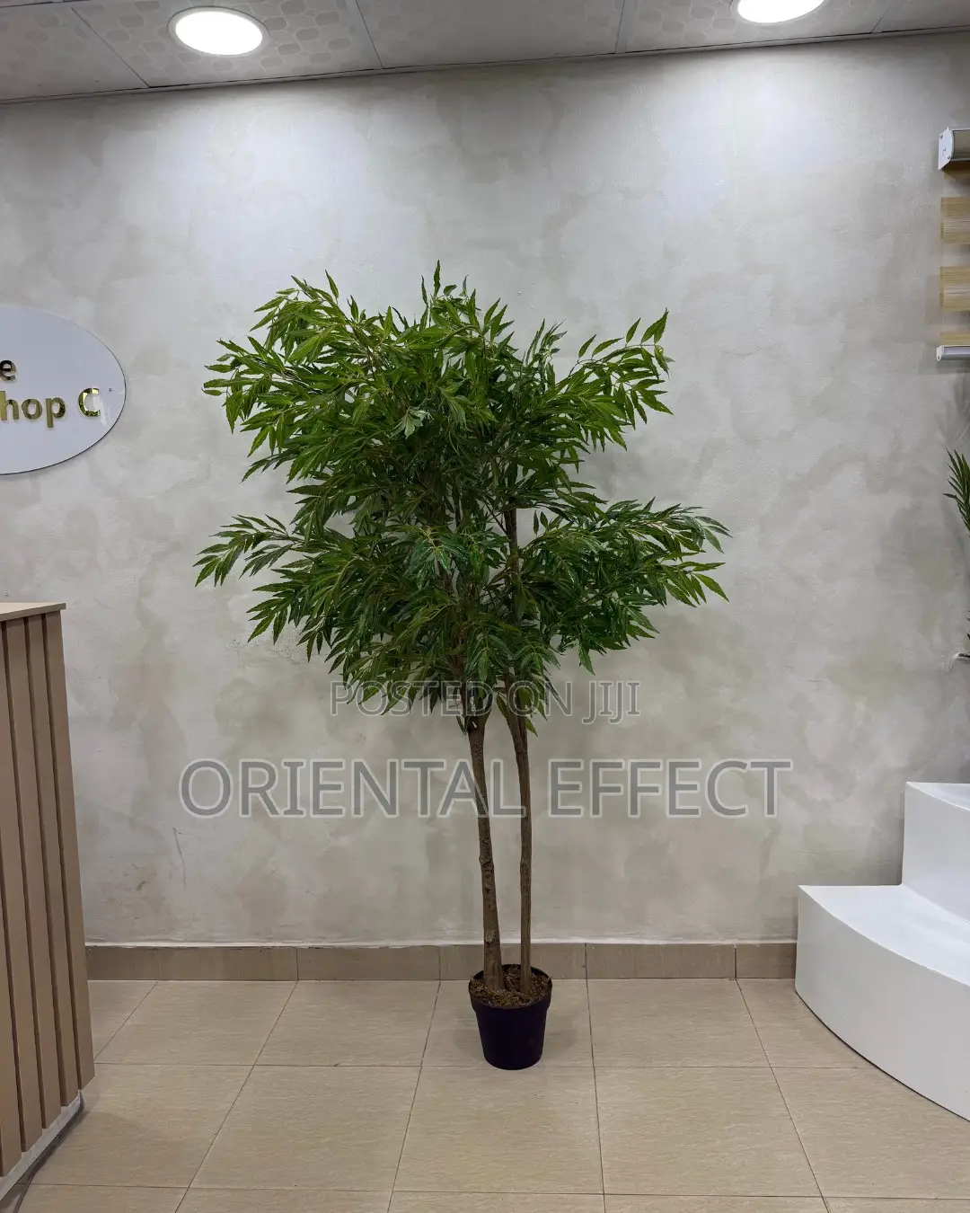 Artificial Mahonia Tree 200cm | Artificial Plant Nigeria