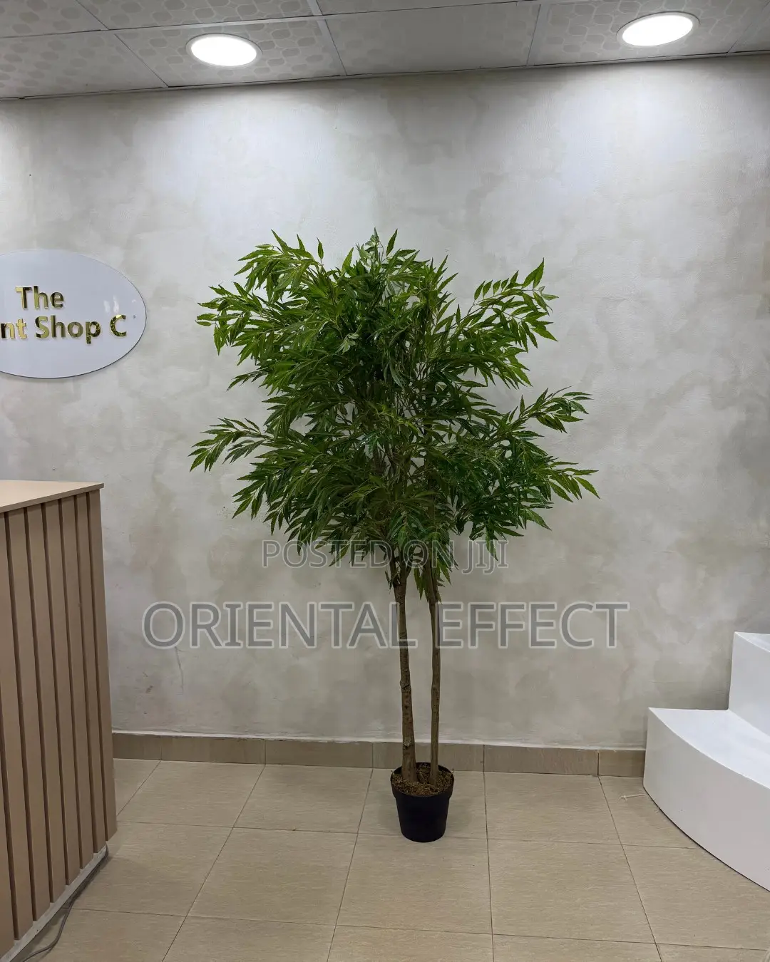 Artificial Mahonia Tree 200cm | Artificial Plant Nigeria