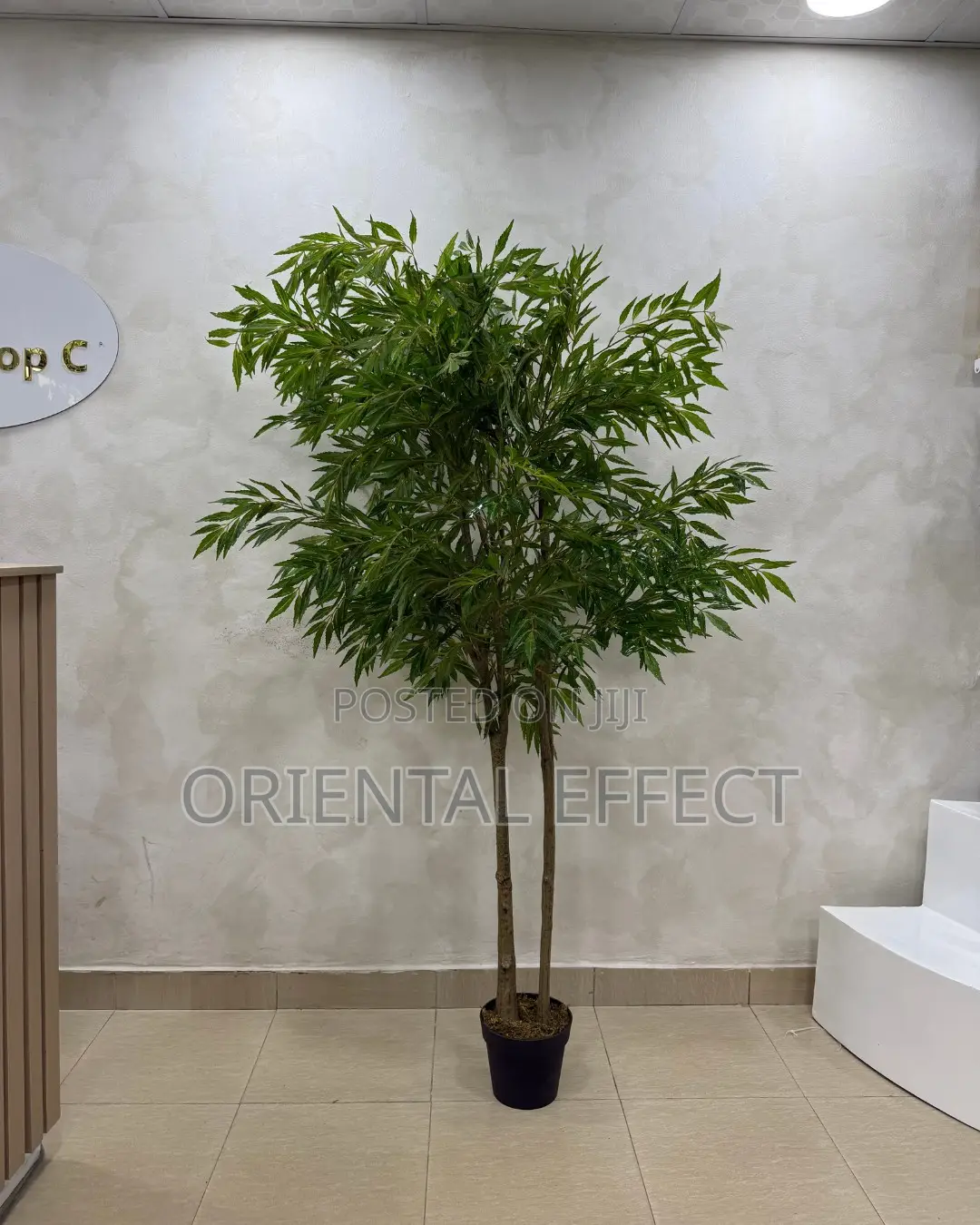 Artificial Mahonia Tree 200cm | Artificial Plant Nigeria
