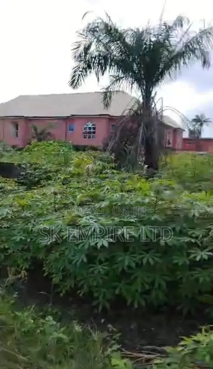5Plots of Land at FUTO Road Eziobodo