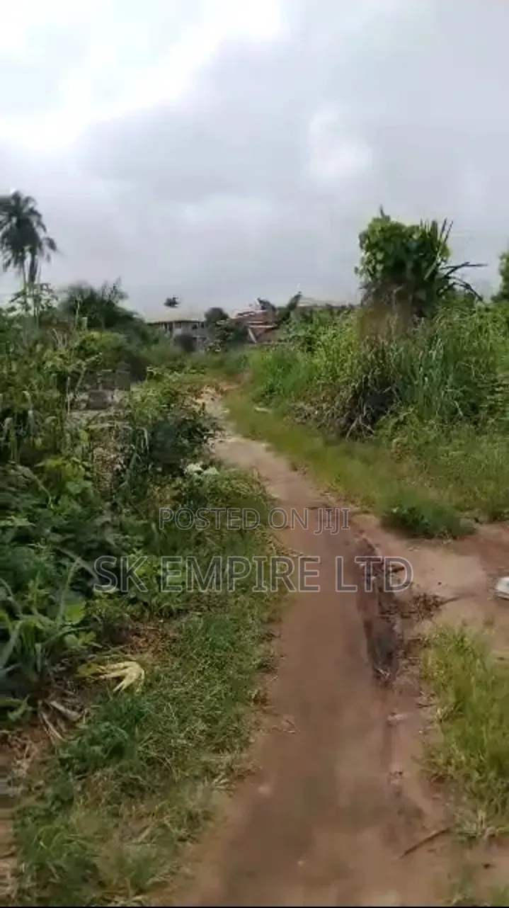 5Plots of Land at FUTO Road Eziobodo
