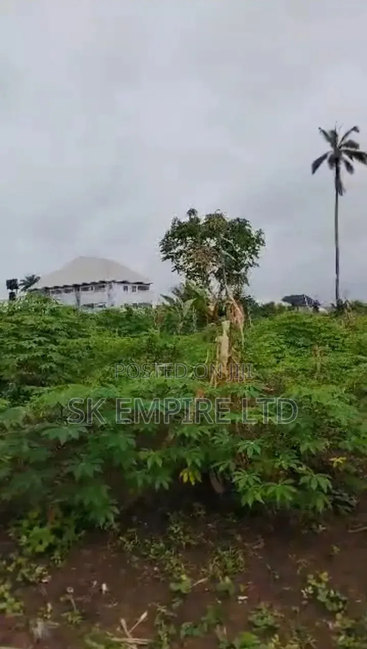 5Plots of Land at FUTO Road Eziobodo