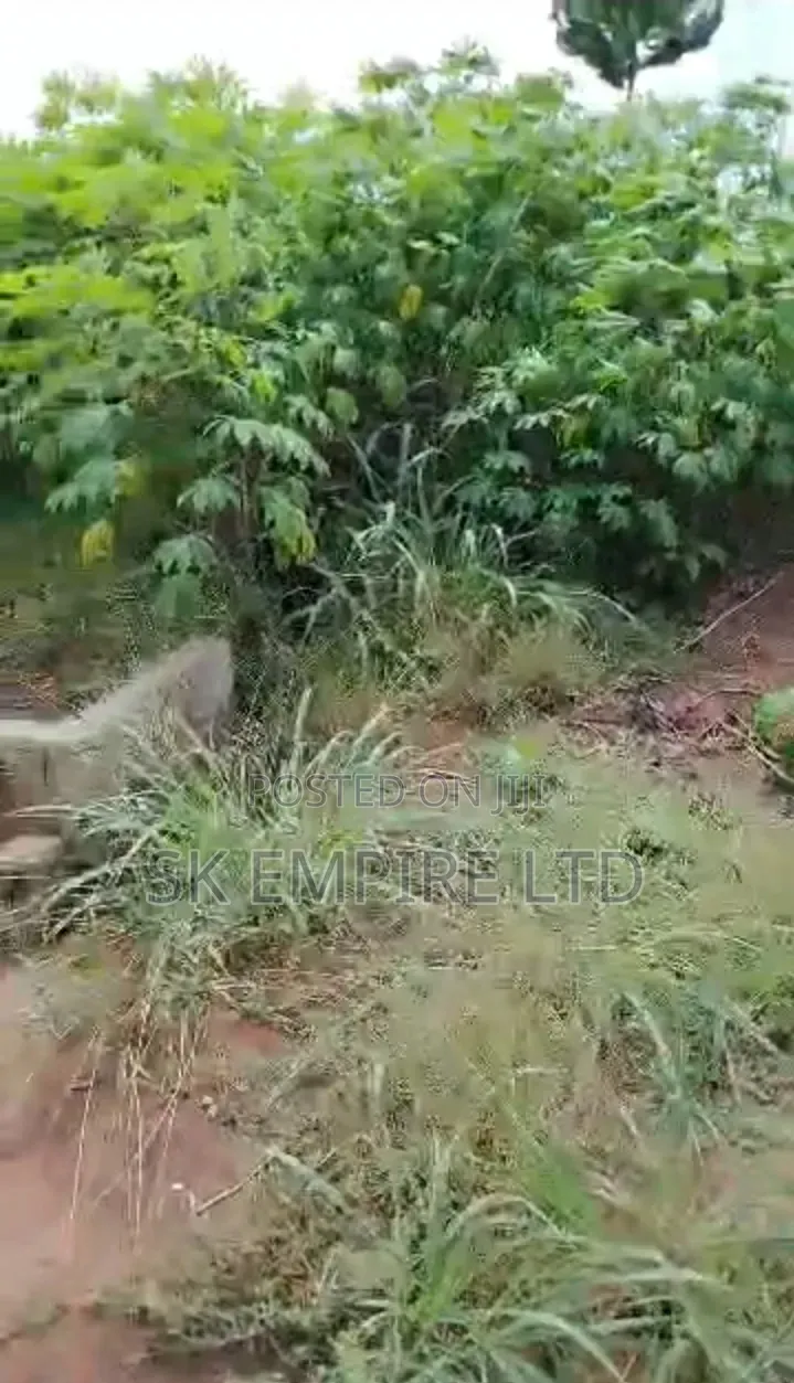 Hot Investment,Corner Piece 1plot of Land Behind Jamal Hotel,Eziobodo
