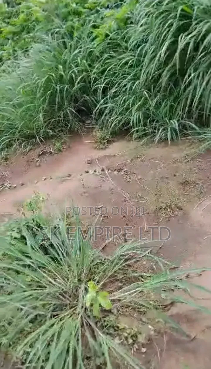 Hot Investment,Corner Piece 1plot of Land Behind Jamal Hotel,Eziobodo