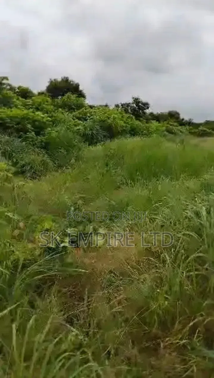 Hot Investment,Corner Piece 1plot of Land Behind Jamal Hotel,Eziobodo