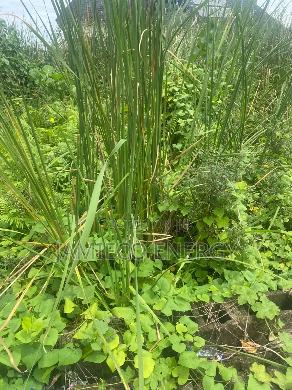 700sqm at Ogidan Sangotedo Outright
