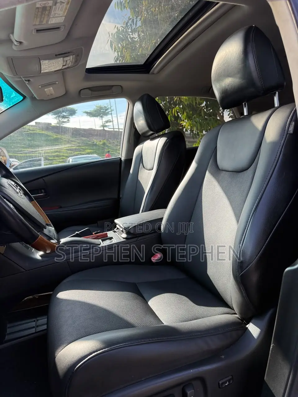 Lexus RX 2010 Silver