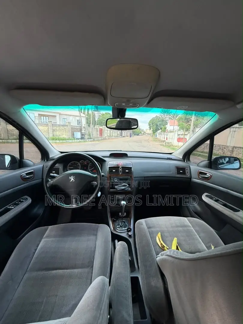 Peugeot 307 2007 Silver